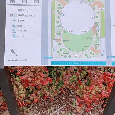 実際訪問したユーザーが直接撮影して投稿した舞岡町公園舞岡川遊水地公園の写真