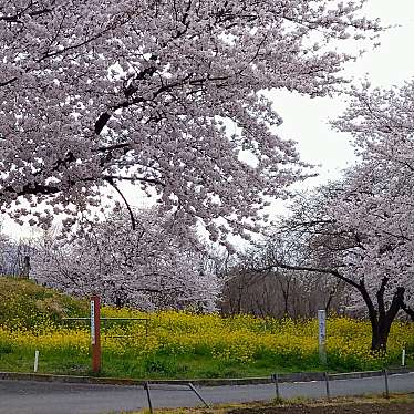 実際訪問したユーザーが直接撮影して投稿した小浜公園神川ゆ〜ゆ〜ランドの写真