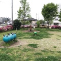 実際訪問したユーザーが直接撮影して投稿した寺島町公園寺島西公園の写真