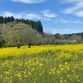 実際訪問したユーザーが直接撮影して投稿した高倉カフェ市原みつばち牧場 Mini shop & Open cafeの写真