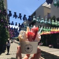 実際訪問したユーザーが直接撮影して投稿した小淵沢町アイスクリームDolce & PREMIUMGELATO ハレterraceの写真