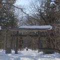 実際訪問したユーザーが直接撮影して投稿した戸隠神社戸隠神社 奥社の写真