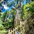 実際訪問したユーザーが直接撮影して投稿した玉置川神社玉置神社の写真