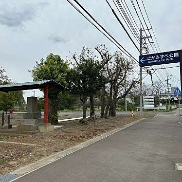 実際訪問したユーザーが直接撮影して投稿した江川公園ごかみずべ公園の写真