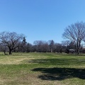 実際訪問したユーザーが直接撮影して投稿した八幡町公園武蔵野中央公園の写真