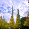 実際訪問したユーザーが直接撮影して投稿した北青山紅葉の名所神宮外苑 いちょう並木の写真