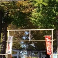 実際訪問したユーザーが直接撮影して投稿した東大泉神社北野神社の写真