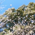 実際訪問したユーザーが直接撮影して投稿した中央町公園大池公園の写真