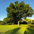 実際訪問したユーザーが直接撮影して投稿した千代田庭園皇居東御苑の写真