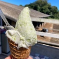 実際訪問したユーザーが直接撮影して投稿した須賀谷アイスクリーム高秀牧場 ミルク工房の写真