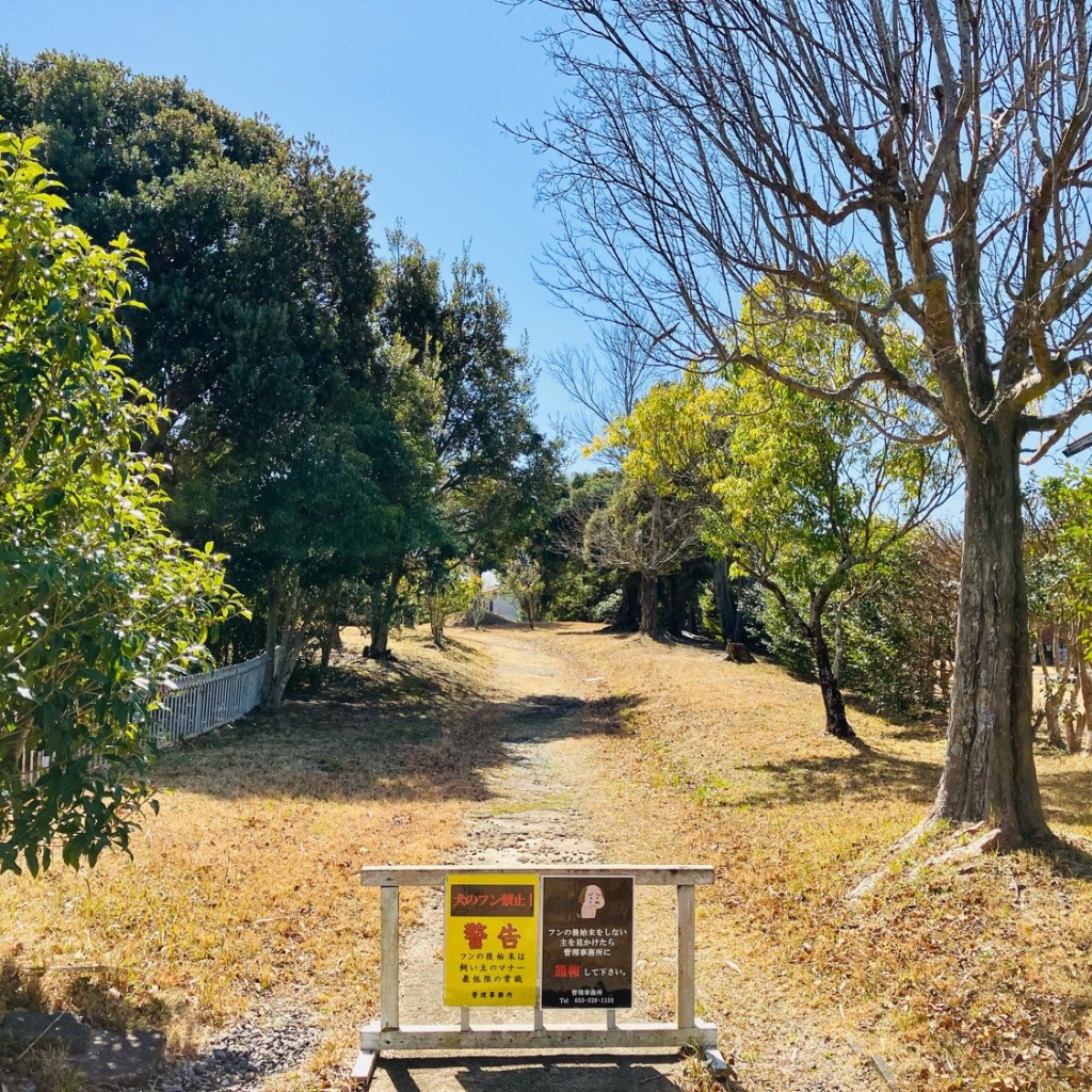 実際訪問したユーザーが直接撮影して投稿した三ヶ日町大崎公園まきの木公園の写真