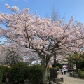 実際訪問したユーザーが直接撮影して投稿した吉之丸公園九華公園の写真