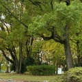 実際訪問したユーザーが直接撮影して投稿した吹上公園吹上公園の写真