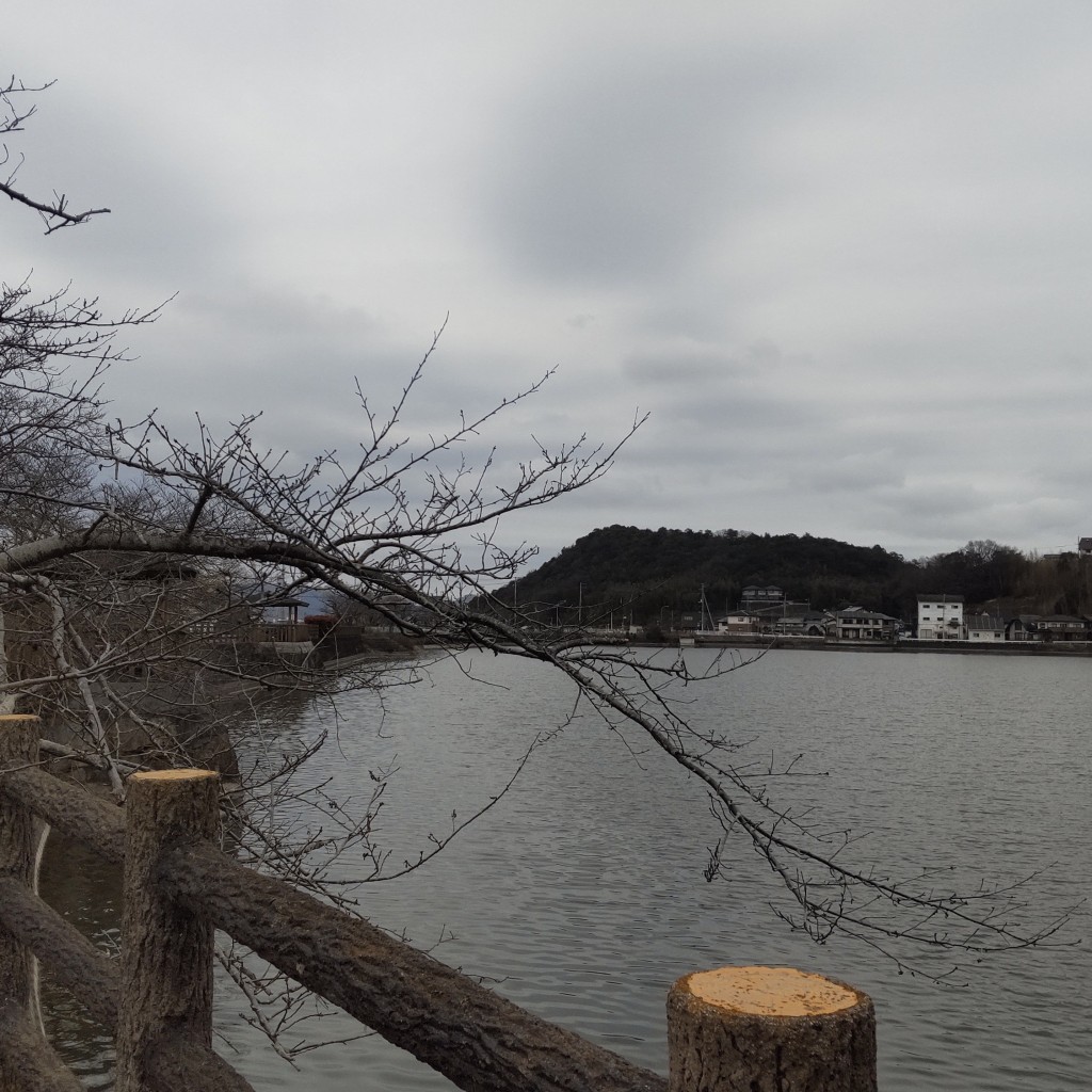 実際訪問したユーザーが直接撮影して投稿した香川町川東下湖沼 / 池龍満池の写真