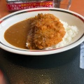 カツカレー - 実際訪問したユーザーが直接撮影して投稿した西野三条餃子みよしの 西野店の写真のメニュー情報