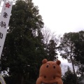 実際訪問したユーザーが直接撮影して投稿した桜台神社櫻木神社の写真