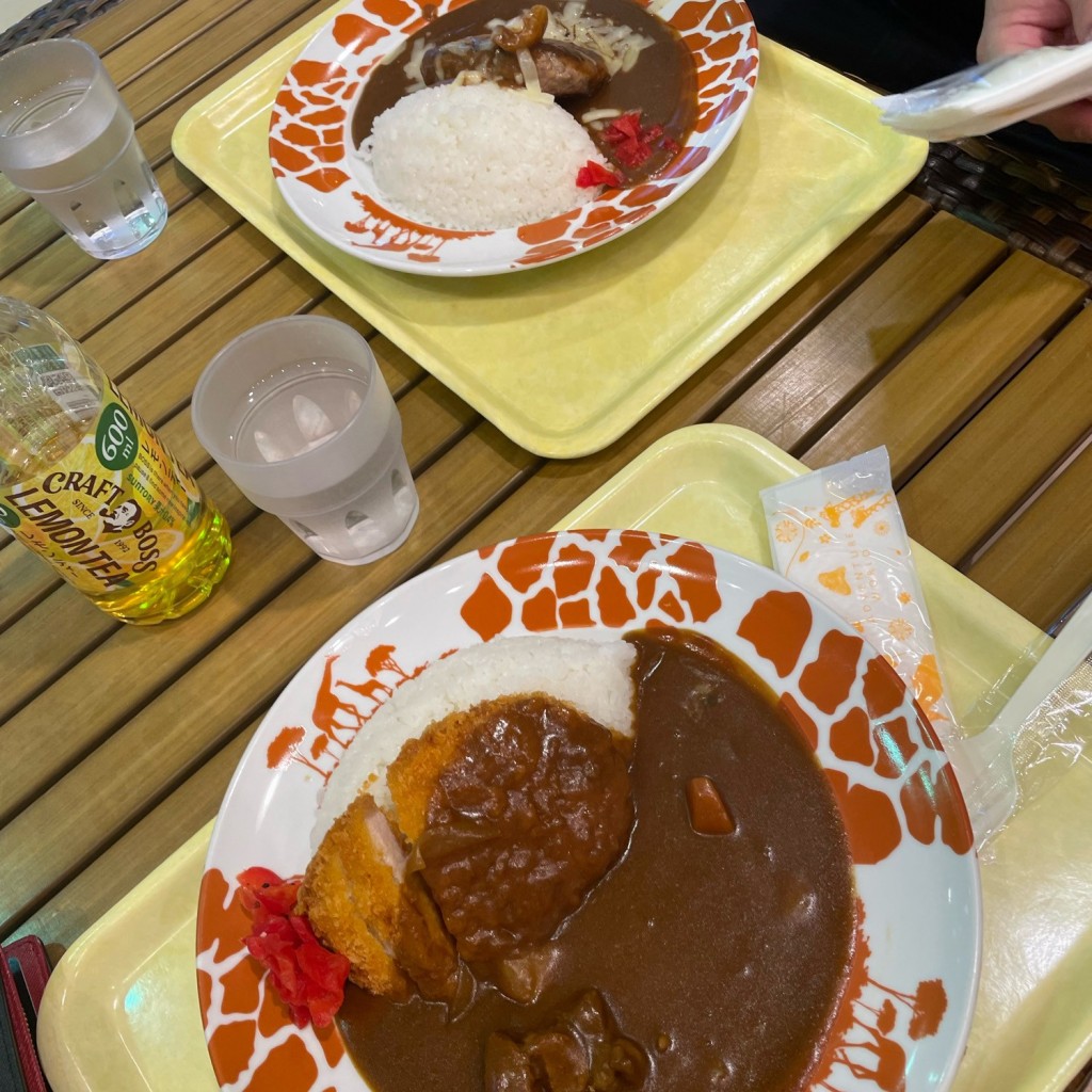 ユーザーが投稿したカツカレー (中辛)の写真 - 実際訪問したユーザーが直接撮影して投稿した堅田洋食アドベンチャーレストラン キッチンの写真