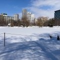 実際訪問したユーザーが直接撮影して投稿した中島公園湖沼 / 池菖蒲池の写真