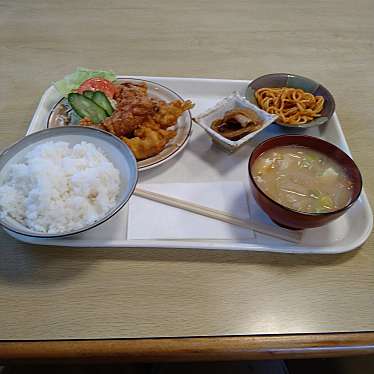 実際訪問したユーザーが直接撮影して投稿した鳥居跡町定食屋かねこ食堂の写真