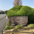 実際訪問したユーザーが直接撮影して投稿した北の丸公園公園北の丸公園の写真