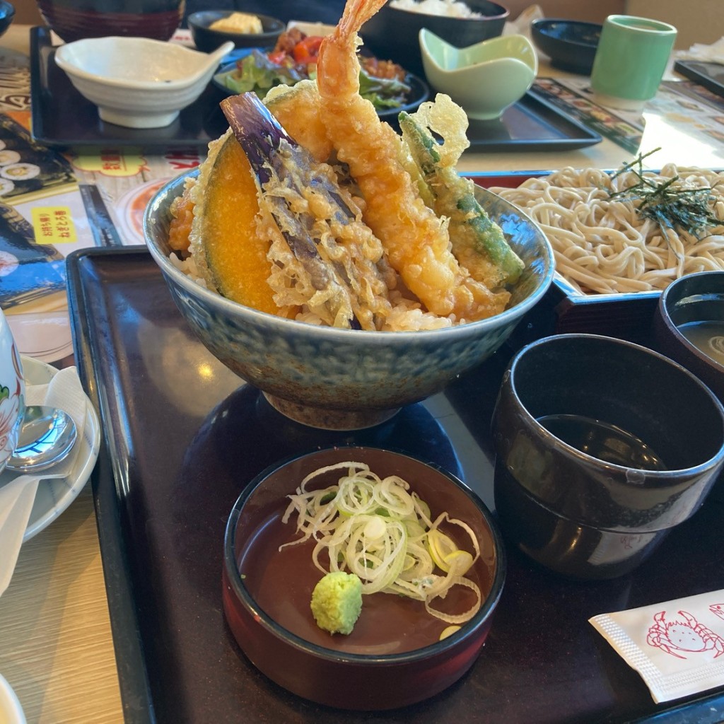 ユーザーが投稿したL天丼Sの写真 - 実際訪問したユーザーが直接撮影して投稿した東坂下和食 / 日本料理和食レストランとんでん 志村小豆沢店の写真