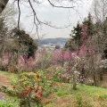 実際訪問したユーザーが直接撮影して投稿した川尻植物園 / 樹木園城山かたくりの里の写真