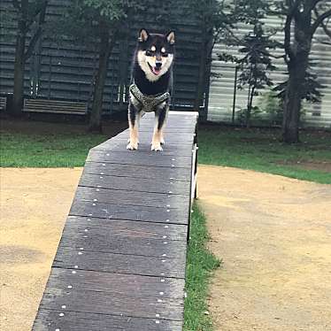 実際訪問したユーザーが直接撮影して投稿した新港西ペット樽川公園ドッグランの写真