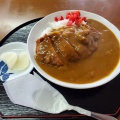 カツカレー - 実際訪問したユーザーが直接撮影して投稿した篠田定食屋はれやま食堂の写真のメニュー情報