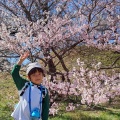 実際訪問したユーザーが直接撮影して投稿した私市植物園 / 樹木園大阪市立大学理学部附属植物園の写真