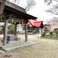 実際訪問したユーザーが直接撮影して投稿した大川神社一本栗地主神社の写真