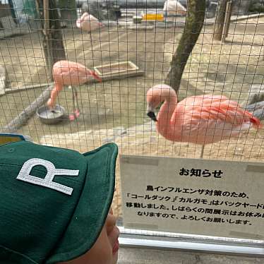 岡崎市東公園 動物園のundefinedに実際訪問訪問したユーザーunknownさんが新しく投稿した新着口コミの写真