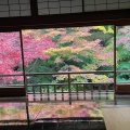 実際訪問したユーザーが直接撮影して投稿した上高野東山寺瑠璃光院の写真