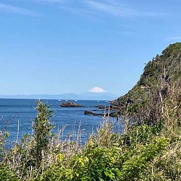 実際訪問したユーザーが直接撮影して投稿した富浦町多田良公園大房岬自然公園の写真