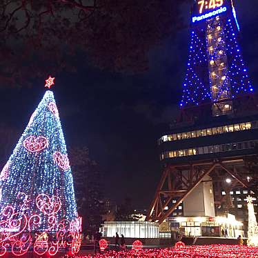 実際訪問したユーザーが直接撮影して投稿した大通西公園大通公園の写真