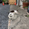 実際訪問したユーザーが直接撮影して投稿した中央カフェ茶馬古道の写真