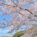 実際訪問したユーザーが直接撮影して投稿した静公園静峰ふるさと公園の写真