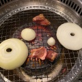 L食放題コース - 実際訪問したユーザーが直接撮影して投稿した竹谷町焼肉焼肉きんぐ 蒲郡店の写真のメニュー情報