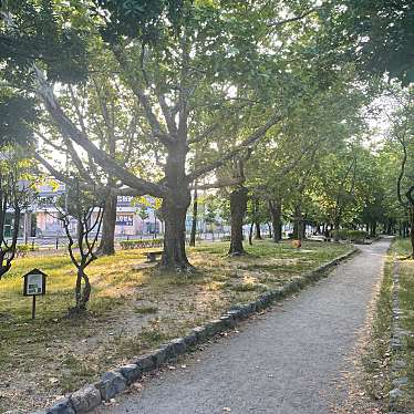 実際訪問したユーザーが直接撮影して投稿した深草五反田町公園西浦南公園の写真