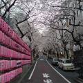 実際訪問したユーザーが直接撮影して投稿した桜丘町カフェ桜丘カフェの写真