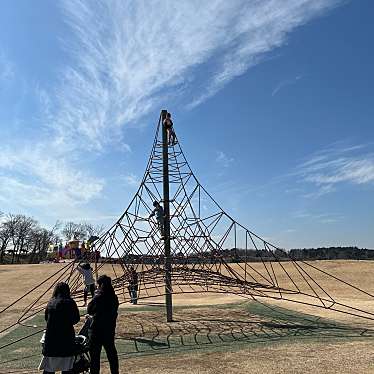 実際訪問したユーザーが直接撮影して投稿した永吉公園わんぱく広場の写真