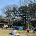 実際訪問したユーザーが直接撮影して投稿した清水アスレチック清水公園の写真