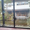実際訪問したユーザーが直接撮影して投稿した志津原温泉旅館渓流温泉 冠荘の写真