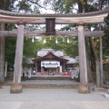 実際訪問したユーザーが直接撮影して投稿した一宮しなね神社土佐神社の写真