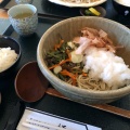 山菜おろしそば - 実際訪問したユーザーが直接撮影して投稿した加茂町駅東そばそば処 橘の写真のメニュー情報