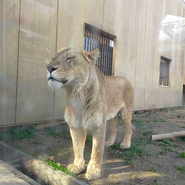 東武動物公園のundefinedに実際訪問訪問したユーザーunknownさんが新しく投稿した新着口コミの写真