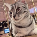 フリードリンク - 実際訪問したユーザーが直接撮影して投稿した栄テーマカフェ猫カフェ MOCHA 名古屋栄店の写真のメニュー情報