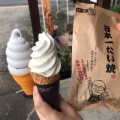 ソフトクリーム - 実際訪問したユーザーが直接撮影して投稿した横瀬スイーツ日本一たい焼き 富士見が丘店の写真のメニュー情報