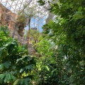 実際訪問したユーザーが直接撮影して投稿した金津植物園 / 樹木園新潟県立植物園の写真