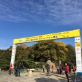 実際訪問したユーザーが直接撮影して投稿した明石公園公園明石公園の写真