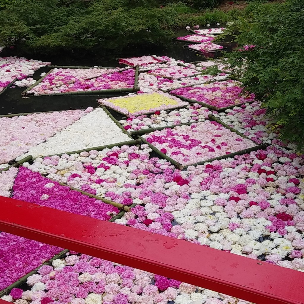 実際訪問したユーザーが直接撮影して投稿した若栗植物園 / 樹木園つくば牡丹園の写真